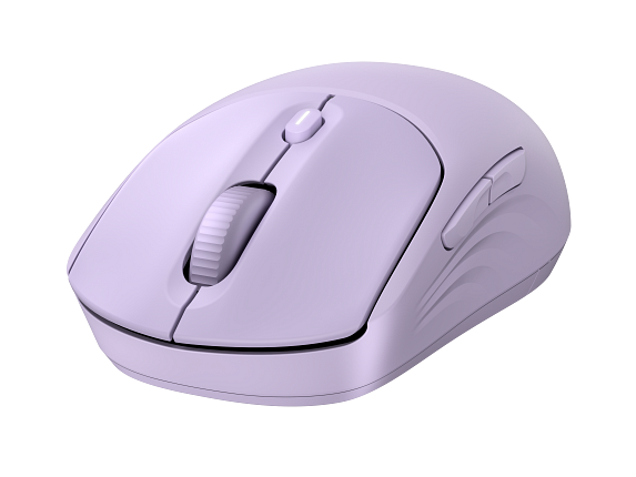 Photo HP 3