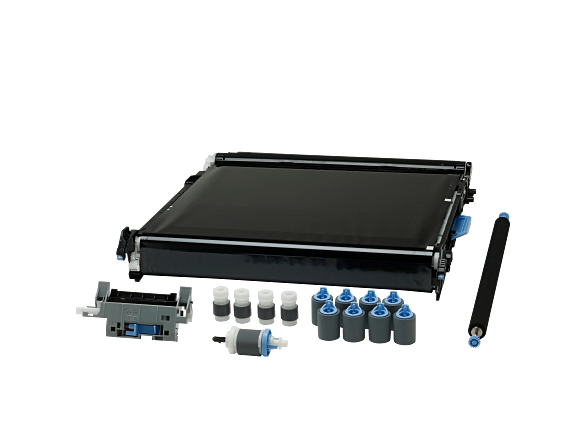 Photos - Other Printing HP LaserJet LaserJet CE516A Transfer Kit