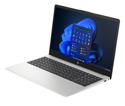 HP 255 15.6 inch G10 Notebook PC