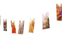 HP Sprocket Light String with Clips