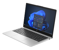 HP 240R 14 inch G10 Notebook PC (AR2Q5AV)