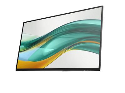 HP Series 5 Pro 23.8 inch FHD No Stand Monitor - 524pf