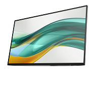 HP Series 5 Pro 23.8 inch FHD No Stand Monitor  - 524pf