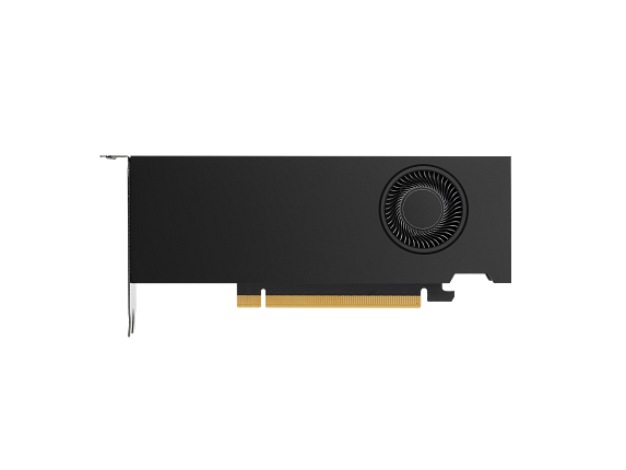 NVIDIA RTX A2000 12 GB 4mDP Graphics