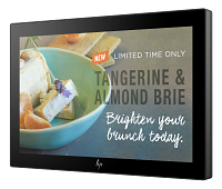 HP Engage 10 Display