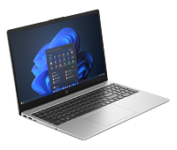 HP 255R 15.6 inch G10 Notebook PC (AN6P5AV)