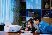 HP DeskJet 2930 All-in-One Printer
