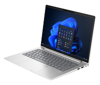 HP EliteBook 645 14 inch G11 Notebook PC (8Z3M9AV)