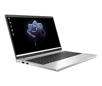 HP Pro mt440 G3 Mobile Thin Client (4W5B0AV)