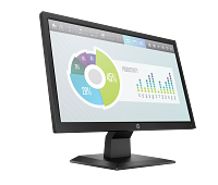 HP P204v 19.5-inch Monitor