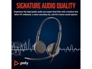 POLY BW 3225 USB-C HS USB-C/A (BULK POLY BW 3225 USB-C HS USB-C/A (BULK