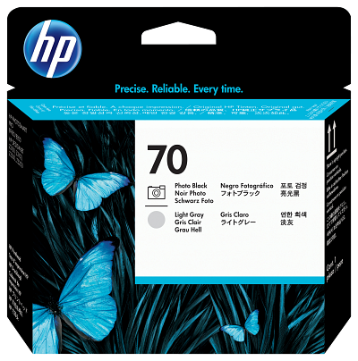 HP 70 Photo Black and Light Gray DesignJet Printhead