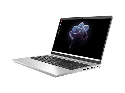 HP Pro mt440 G3 Mobile Thin Client