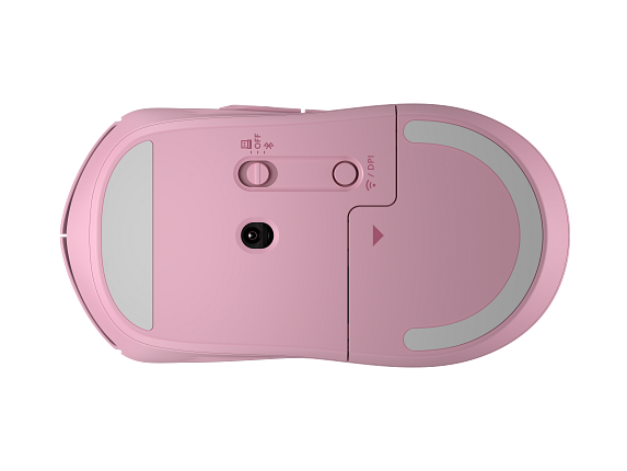 Photo HP 1