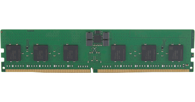64GB DDR5 (1x64GB) 5600 DIMM ECC REG Memory