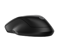 HP 255 Dual Wireless Mouse