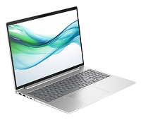 HP ProBook 460 16 inch G11 Notebook PC (8Z674AV)