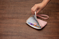 HP Sprocket Blush Wallet Case
