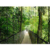 HP EliteBook 8 G1i AD4R0ET 16" CU5/225U 16GB 512GB W11P ezüst AI Laptop / Notebook