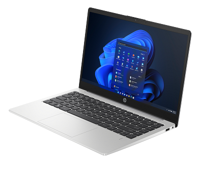 HP 245 14 inch G10 Notebook PC