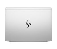 HP Elite mt645 G8 Mobile Thin Client (950L5AV)