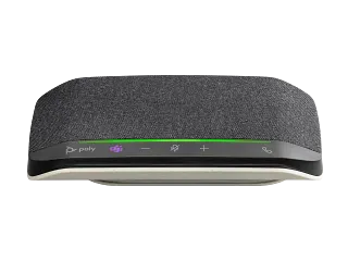 Poly Sync 10