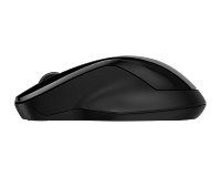 HP 250 Dual Mouse