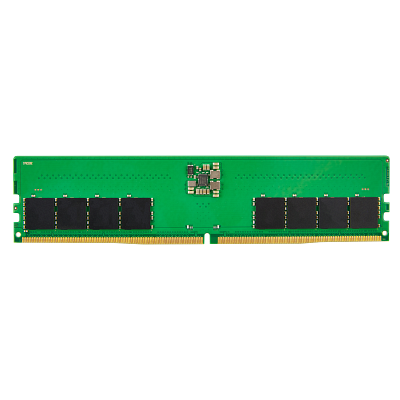 16GB DDR5 (1x16GB) 4800 UDIMM NECC Memory