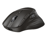 HP Ultra-Fast-Scroll Wireless Mouse 780M