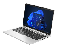 HP EliteBook 640 14 inch G10 Notebook PC (736H3AV)