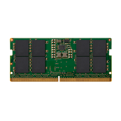16GB DDR5 (1x16GB) 5600 DIMM ECC REG Memory