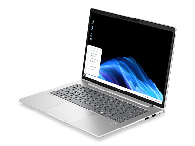 HP EliteBook 6 G2a 14 inch Notebook Thin Client
