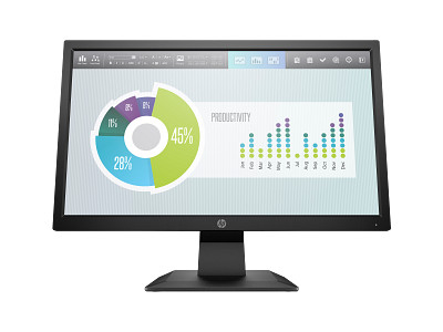 HP P204v 19.5-inch Monitor