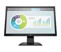 HP P204v 19.5-inch Monitor