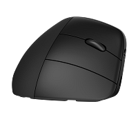 HP 920 Ergonomic Wireless Mouse