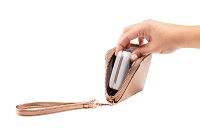 HP Sprocket Gold Wallet Case