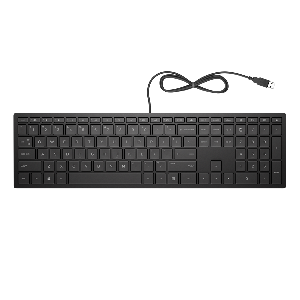 18 C1 Wave 2 - HP Pavilion Wired Keyboard 300 Jet Black