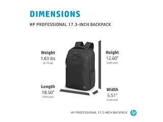HP Professional 17.3-inch Backpack