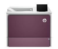 HP Color LaserJet Enterprise 6701dn Printer