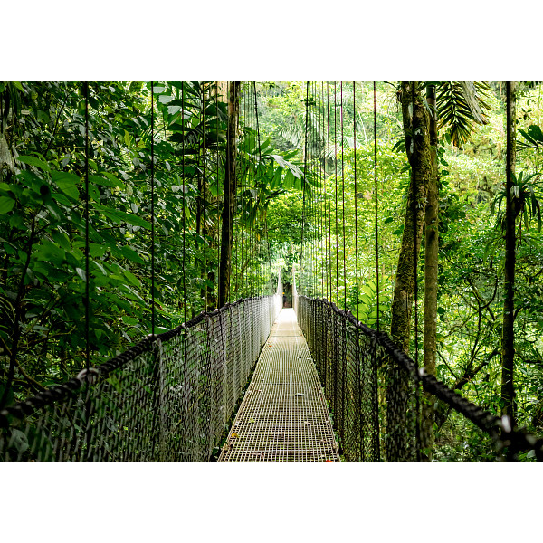 PC portable HP ProBook 4 G1iR