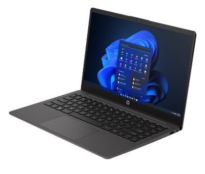 HP 245 14 inch G10 Notebook PC
