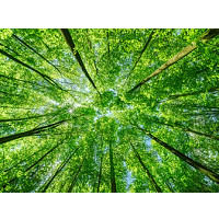 HP AM0X9A DesignJet T870 24-in Printer