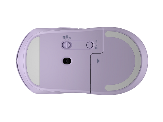 Photo HP 1