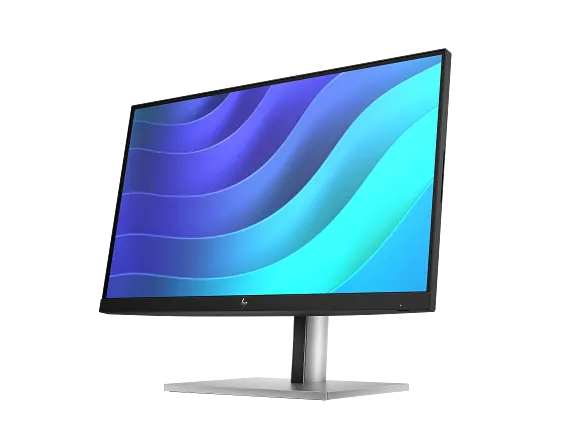 HP E22 G5 FHD Monitor