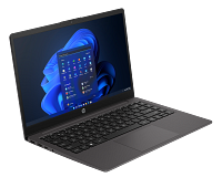HP 245 14 inch G10 Notebook PC (788F2AV)