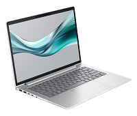HP EliteBook 645 14 inch G11 Notebook PC (8Z3M9AV)