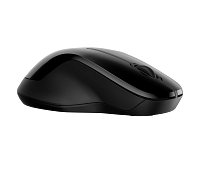 HP 250 Dual Mouse