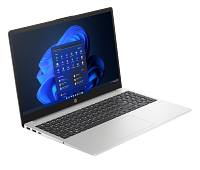 HP 250 15.6 inch G10 Notebook PC (952G0AV)