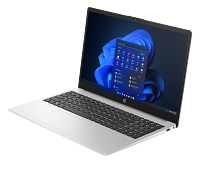 HP 250 15.6 inch G10 Notebook PC (952G0AV)